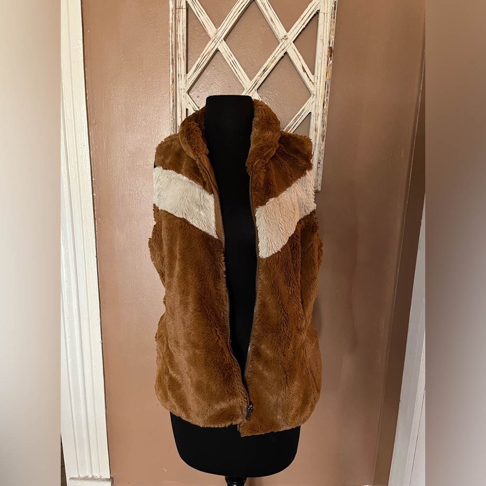 Patagonia Fleece pelage chevron Vest